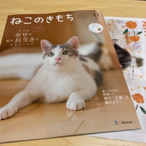 ねこのきもち】毎月届くベネッセの猫情報雑誌 - 福袋ギルド